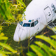 Ilustración para el artículo titulado El caso del avión abandonado en Bali se complica: hay un segundo Boeing en el campo y tampoco se sabe cómo llegó allí